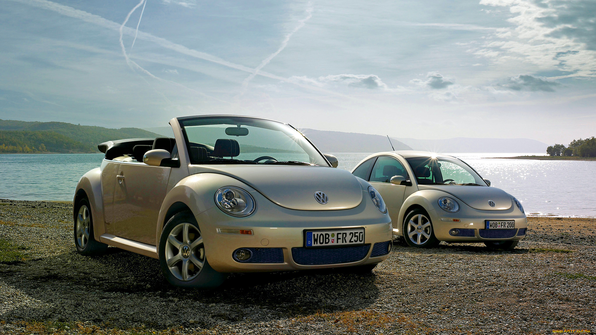 volkswagen, beetle, , , ag, , 